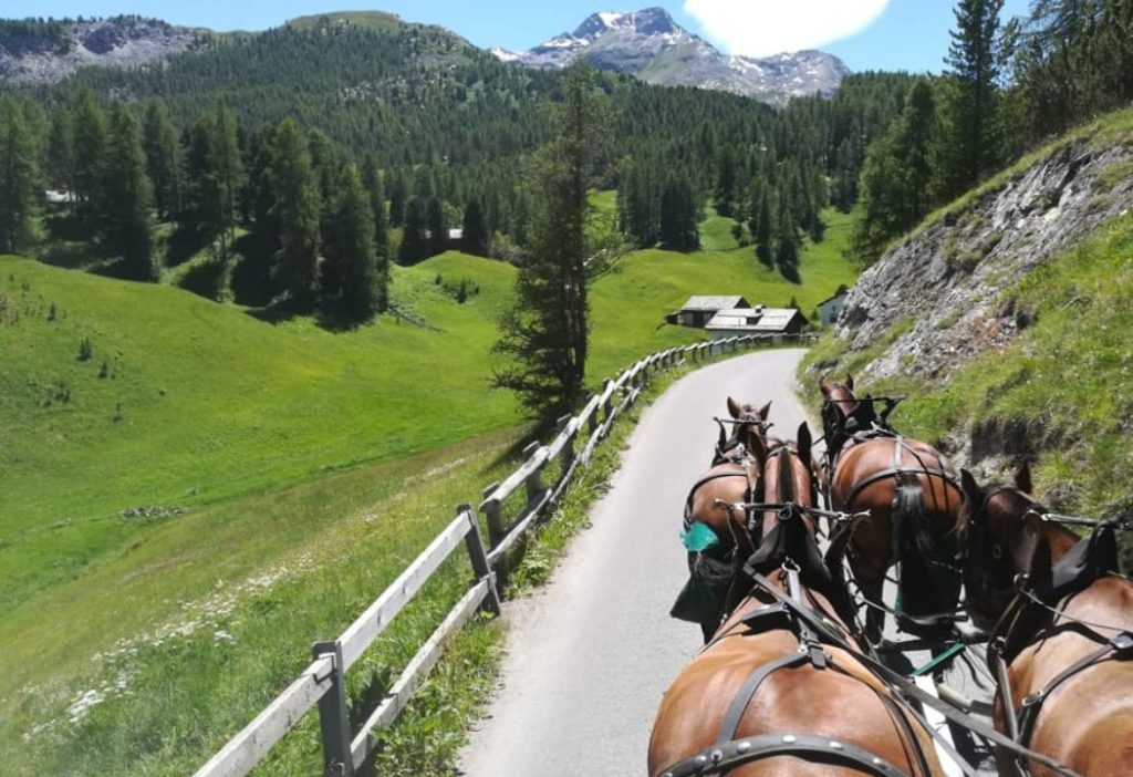 alla scoperta della val fex