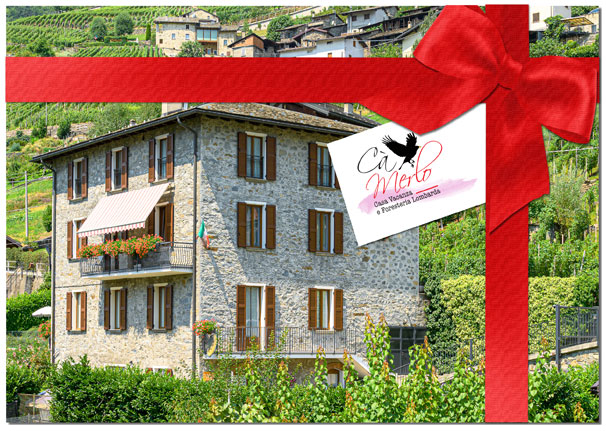 gift card camerlo