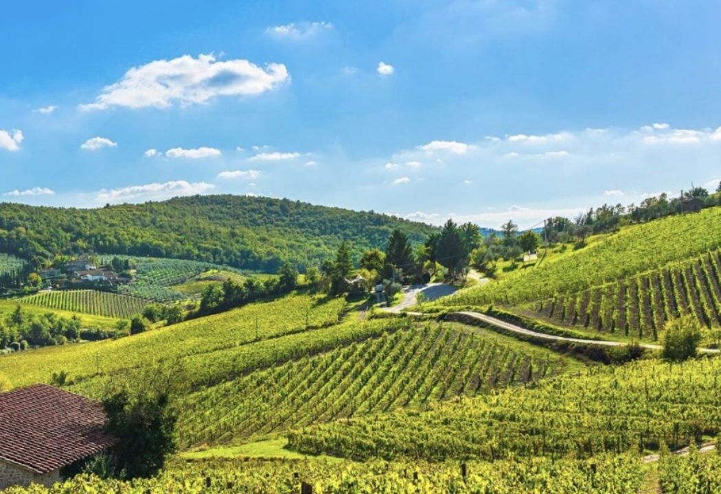 toscana e chianti